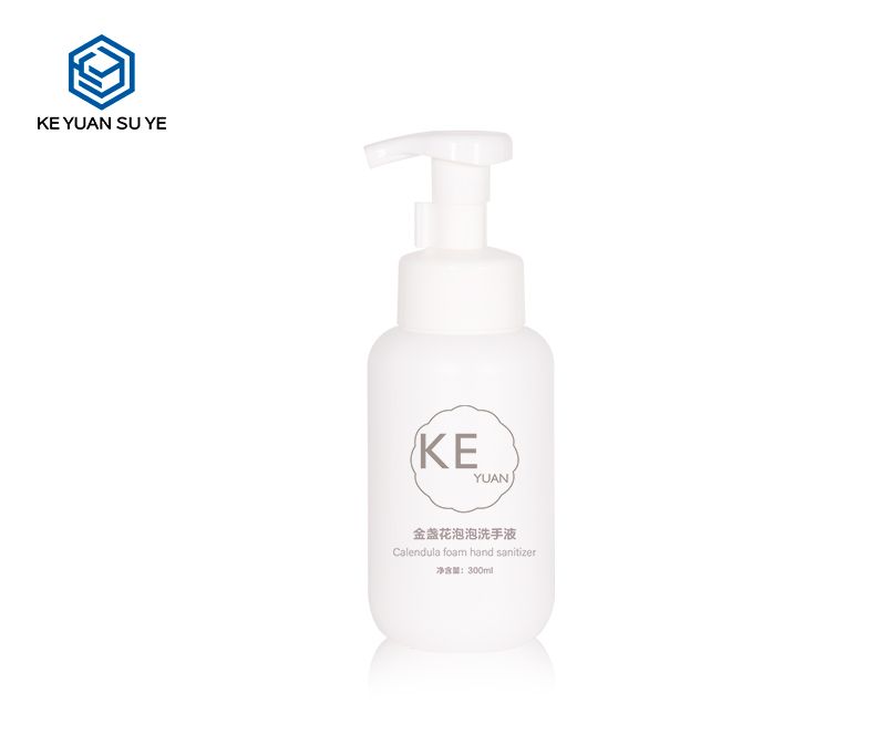 KY262 2Custom Luxury Foam Bottle 300ml HDPE Cosmetic Liquid Soap Dispenser with Foam Pump Bottle